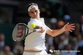 体育数据分析出色防守首场状态出色，雄鹿观众沸腾！，费德勒重返赛场引发球迷热议的简单介绍